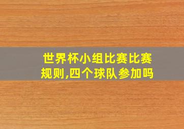 世界杯小组比赛比赛规则,四个球队参加吗