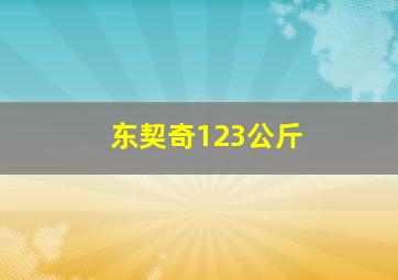 东契奇123公斤