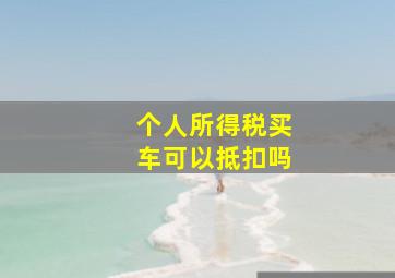 个人所得税买车可以抵扣吗