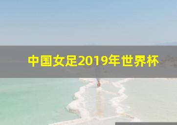 中国女足2019年世界杯