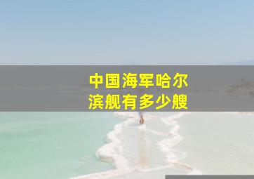 中国海军哈尔滨舰有多少艘