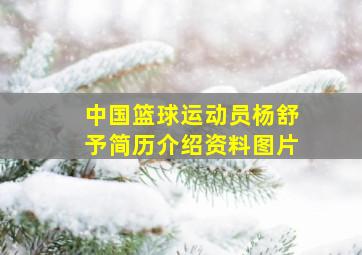 中国篮球运动员杨舒予简历介绍资料图片