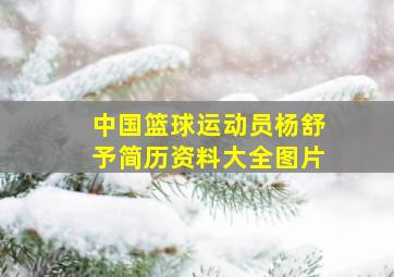 中国篮球运动员杨舒予简历资料大全图片