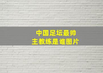 中国足坛最帅主教练是谁图片