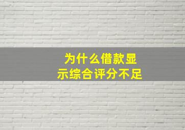 为什么借款显示综合评分不足