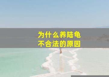 为什么养陆龟不合法的原因