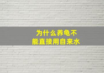 为什么养龟不能直接用自来水