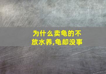 为什么卖龟的不放水养,龟却没事