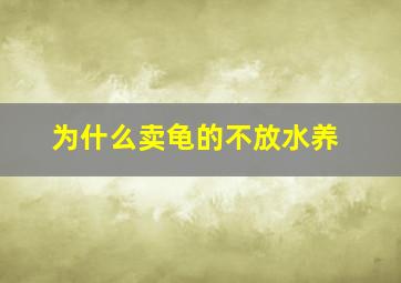 为什么卖龟的不放水养