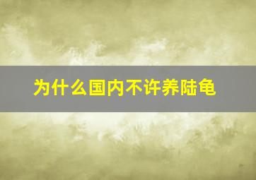 为什么国内不许养陆龟