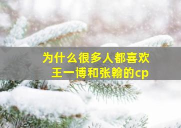 为什么很多人都喜欢王一博和张翰的cp