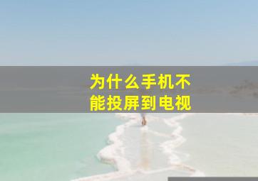 为什么手机不能投屏到电视