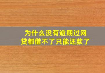 为什么没有逾期过网贷都借不了只能还款了