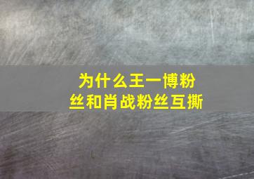 为什么王一博粉丝和肖战粉丝互撕