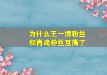 为什么王一博粉丝和肖战粉丝互撕了