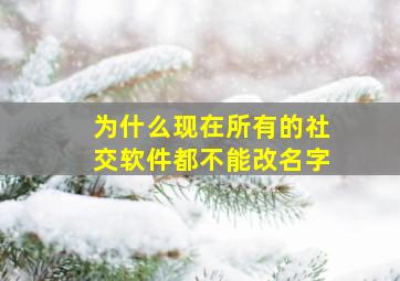 为什么现在所有的社交软件都不能改名字