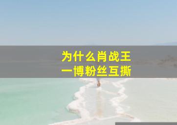 为什么肖战王一博粉丝互撕