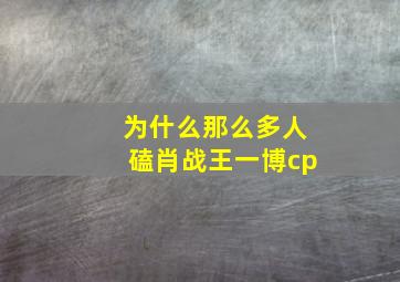 为什么那么多人磕肖战王一博cp