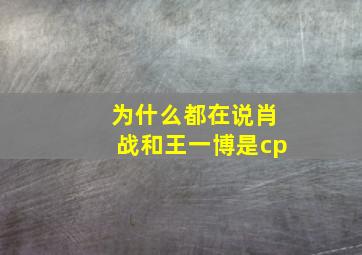 为什么都在说肖战和王一博是cp