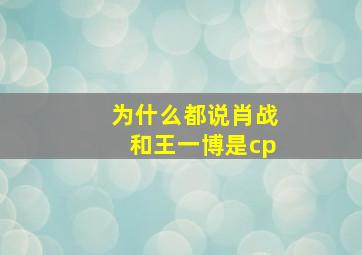 为什么都说肖战和王一博是cp