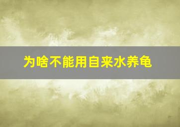 为啥不能用自来水养龟