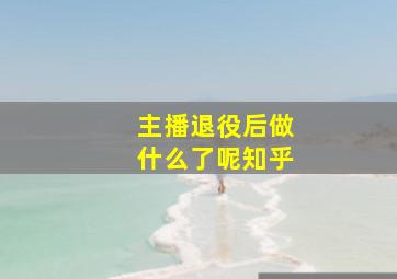 主播退役后做什么了呢知乎