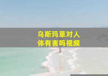 乌斯玛草对人体有害吗视频