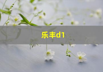 乐丰d1