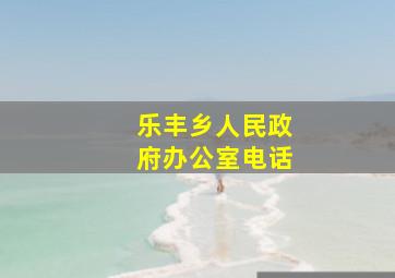 乐丰乡人民政府办公室电话