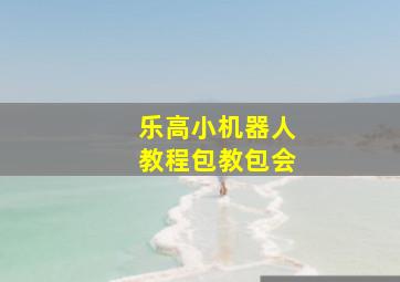 乐高小机器人教程包教包会