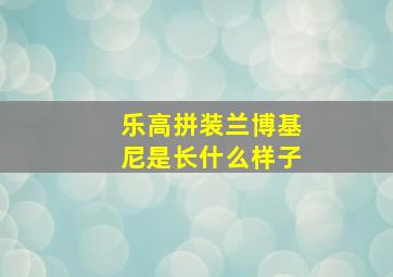 乐高拼装兰博基尼是长什么样子