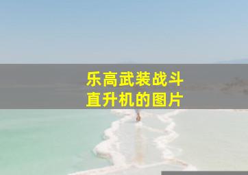 乐高武装战斗直升机的图片