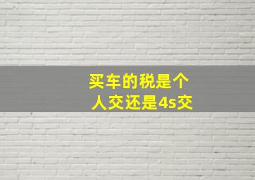 买车的税是个人交还是4s交