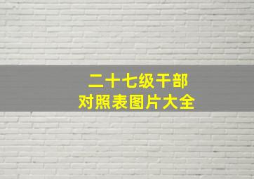 二十七级干部对照表图片大全