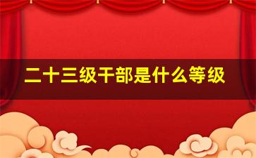 二十三级干部是什么等级