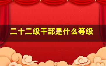 二十二级干部是什么等级