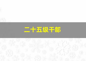 二十五级干部