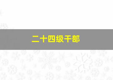 二十四级干部