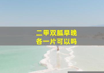 二甲双胍早晚各一片可以吗