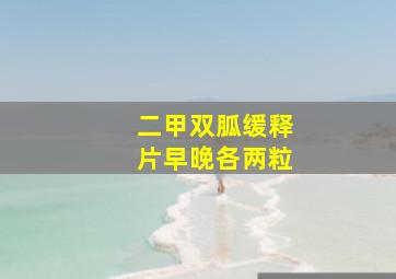 二甲双胍缓释片早晚各两粒