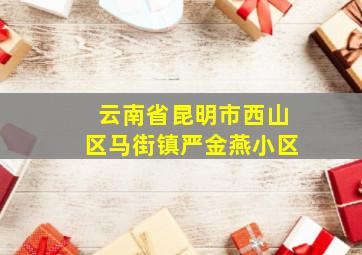 云南省昆明市西山区马街镇严金燕小区