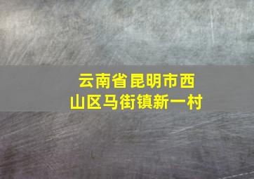 云南省昆明市西山区马街镇新一村