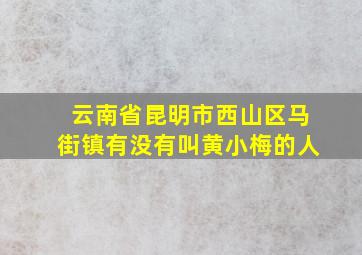 云南省昆明市西山区马街镇有没有叫黄小梅的人