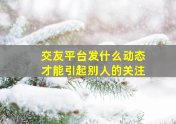 交友平台发什么动态才能引起别人的关注