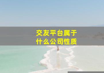 交友平台属于什么公司性质