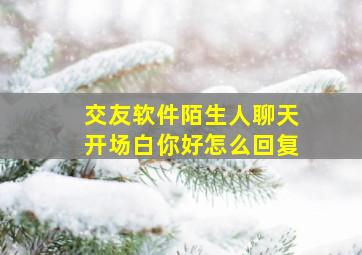 交友软件陌生人聊天开场白你好怎么回复