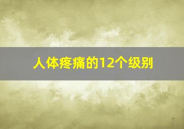 人体疼痛的12个级别