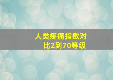 人类疼痛指数对比2到70等级