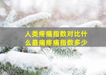 人类疼痛指数对比什么最痛疼痛指数多少