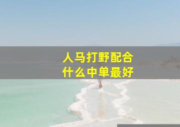 人马打野配合什么中单最好